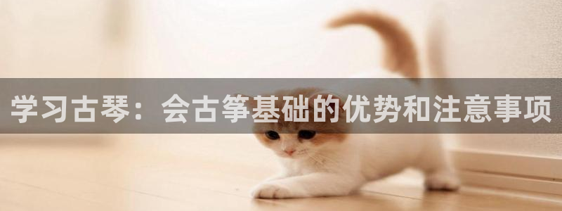 凯发国际网络平台网址