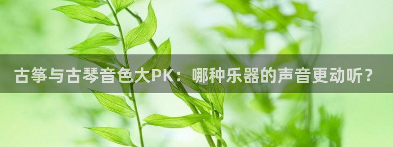凯发娱乐k8国际