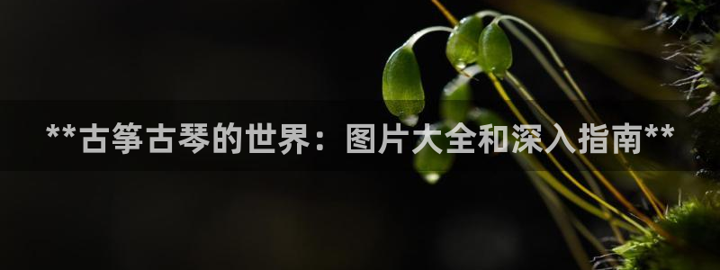 凯发国际真人