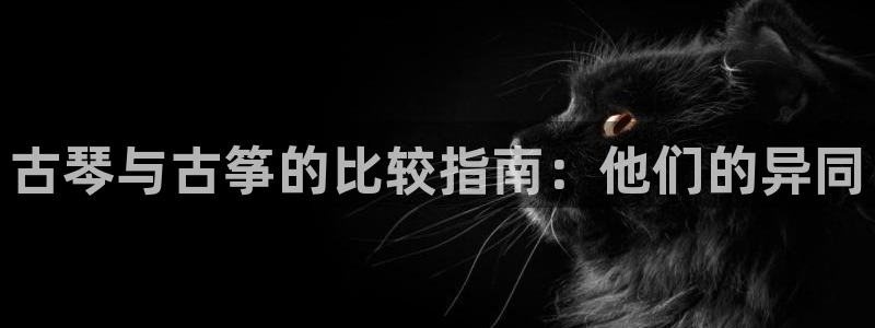 凯发app官网