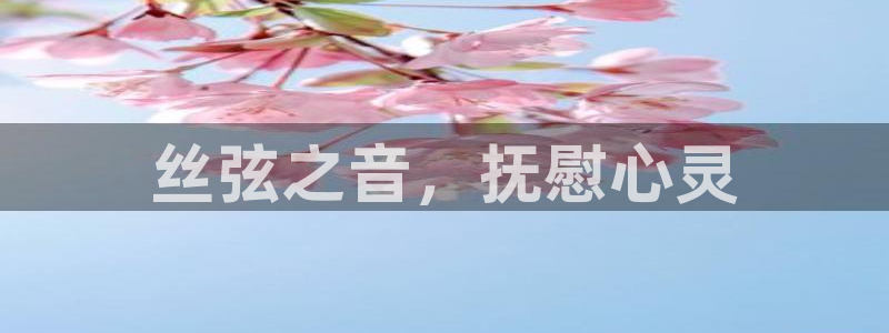 凯发k8娱乐旗舰app下载