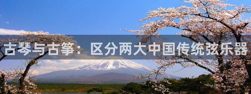 凯发app地址