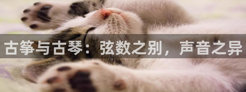 凯发手机app官网