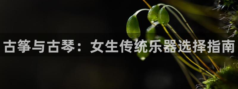 凯发国际娱乐官网k8