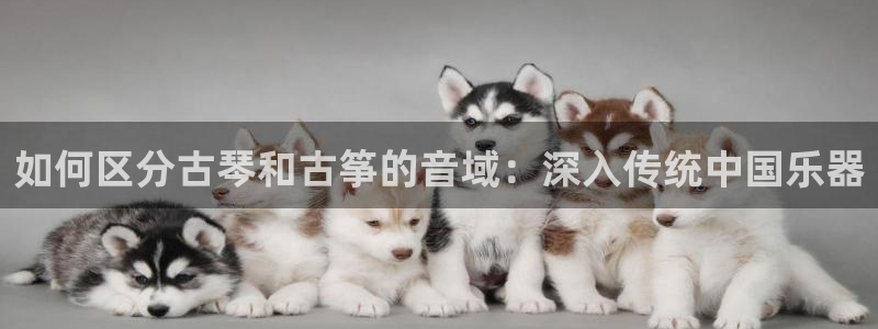 凯发k8娱乐真人旗舰厅客服
