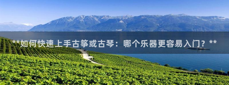 凯发官方网站是多少：**如何快速上手古筝或古琴：哪个乐器更容