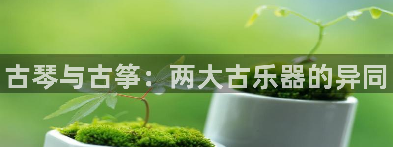 凯发国际怎么赚钱
