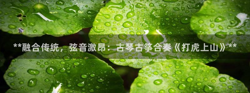 凯发k8娱乐平台网址