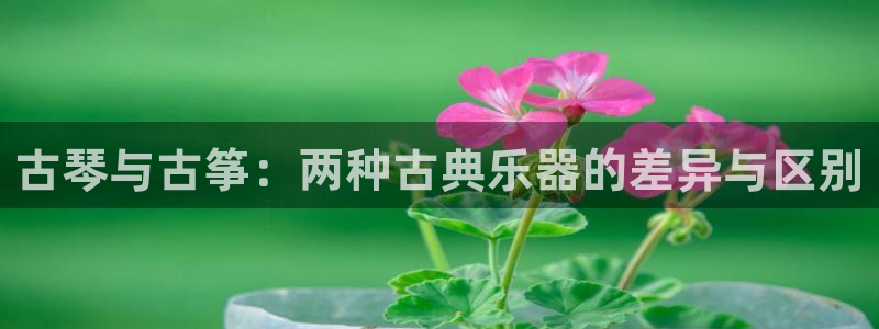 凯发国际网站：古琴与古筝：两种古典乐器的差异与区别