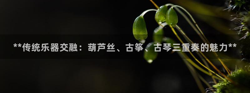 凯发平台风采