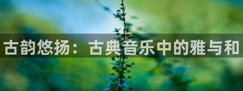 k8凯发官方找就送38