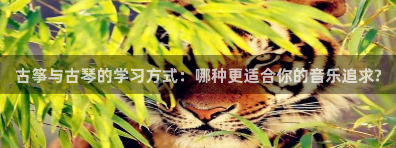 凯发k8娱乐旗舰厅