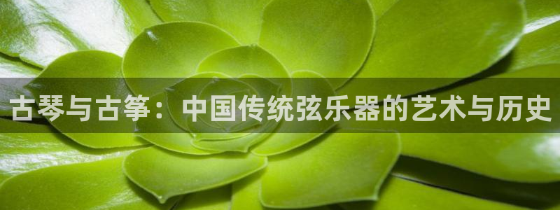 凯发k873