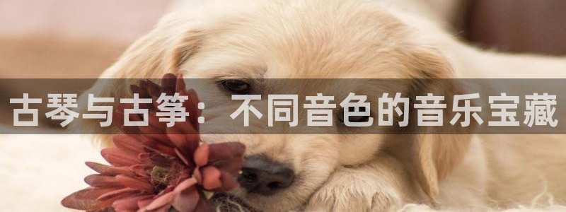 凯发官方网站下载