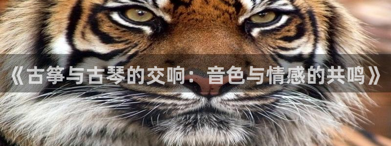 凯发k81111国际真人版
