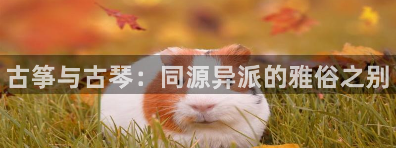 凯发app地址