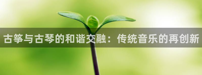 凯发k8国际真人版安全送38元：古筝与古琴的和谐交融：传统音