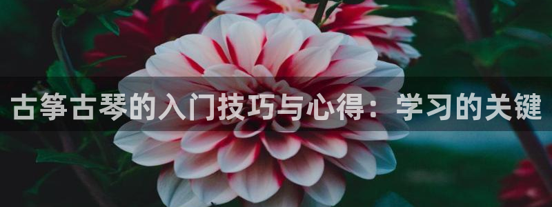 凯发平台风采：古筝古琴的入门技巧与心得：学习的关键