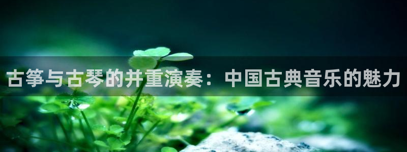 凯发k8娱乐官网地址app下载 | 首页：古筝与古琴的并重演