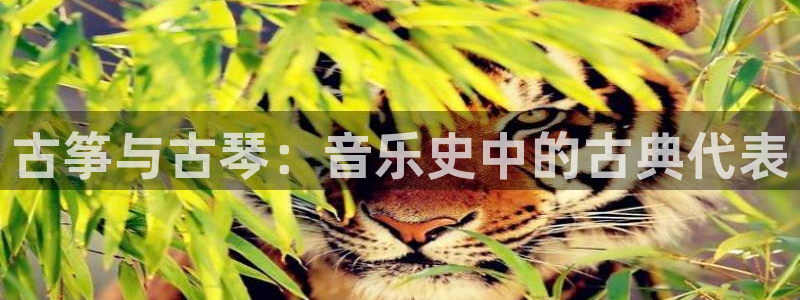 凯发国际亚洲有限公司