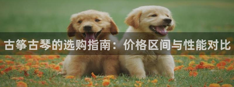 ks8凯发官方网站