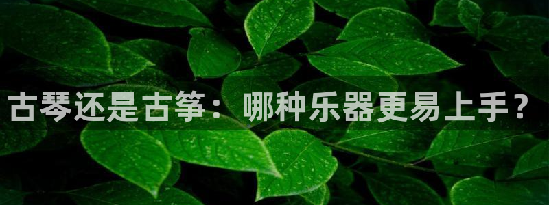 凯发网站是多少