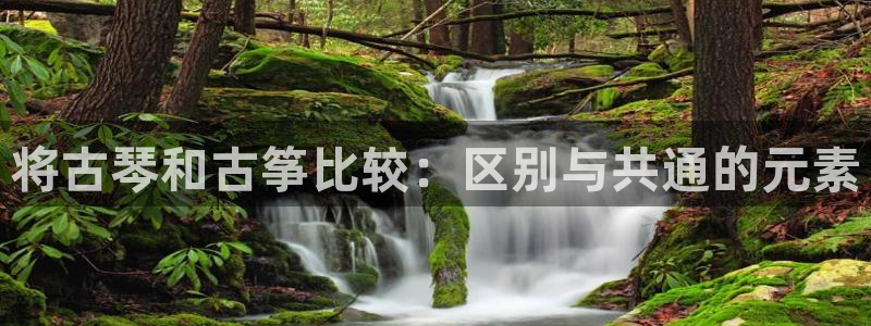 凯发k8官网下载客户端中心：将古琴和古筝比较：区别与共通的元