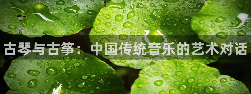 凯发是什么意思