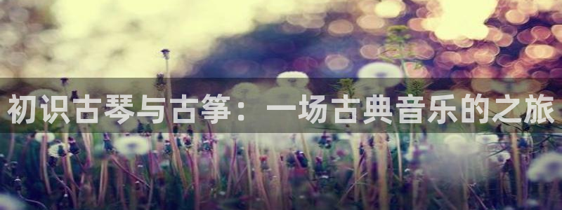凯发k8官网do选来就送38：初识古琴与古筝：一场古典音乐的