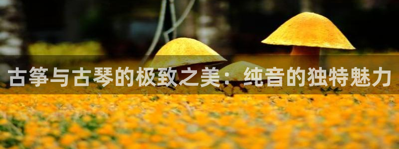 凯发k8旗舰店