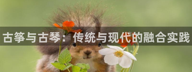 凯发k8是不是真的可靠：古筝与古琴：传统与现代的融合实践