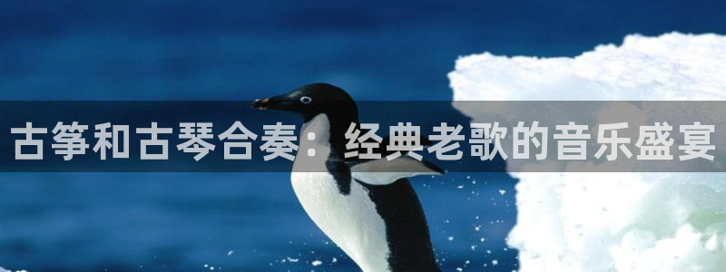 凯发k8客户端：古筝和古琴合奏：经典老歌的音乐盛宴