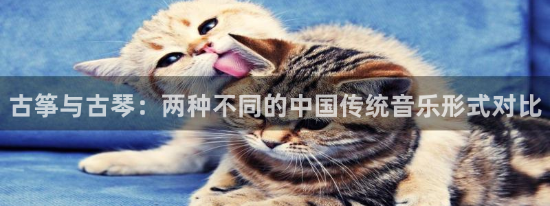 凯发网官网：古筝与古琴：两种不同的中国传统音乐形式对比
