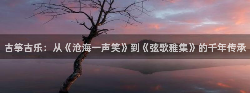 凯发k8国际真人版可靠送38元：古筝古乐：从《沧海一声笑》到