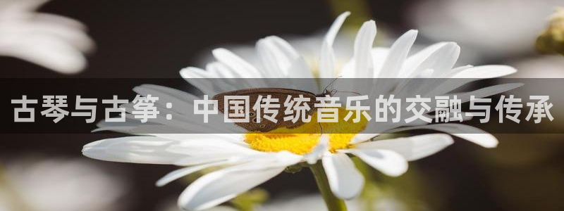 凯发官方手机app：古琴与古筝：中国传统音乐的交融与传承