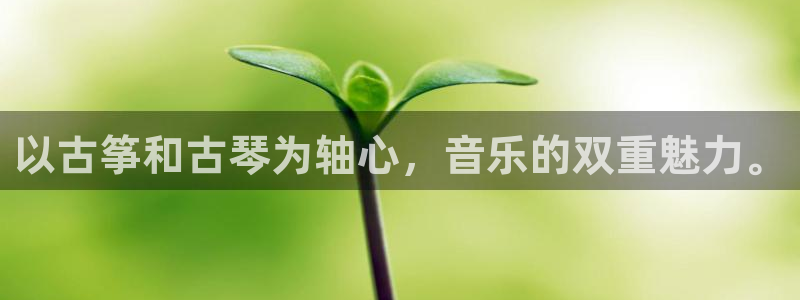 凯发k8官方：以古筝和古琴为轴心，音乐的双重魅力。