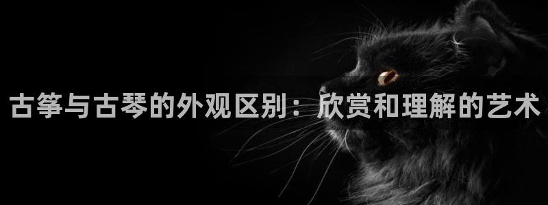凯发k8娱乐|k808.vip