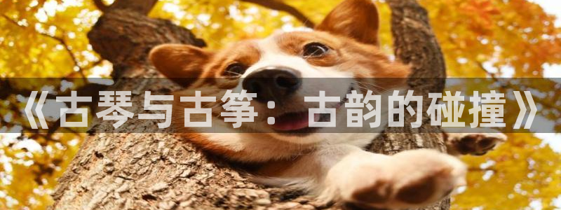凯发国际真人