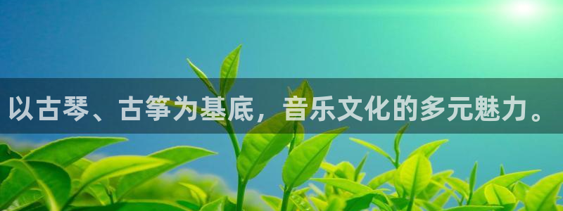 凯发娱乐国际厅：以古琴、古筝为基底，音乐文化的多元魅力。