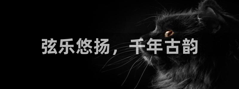 凯发k8官方网娱乐官方真