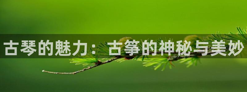 凯发k8娱乐官网网址中心：古琴的魅力：古筝的神秘与美妙