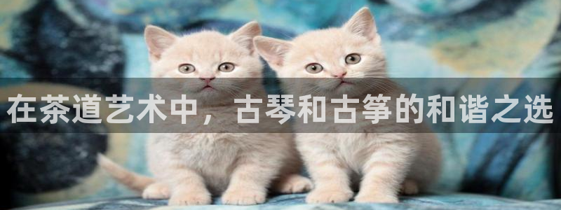 凯发线上app苹果版下载