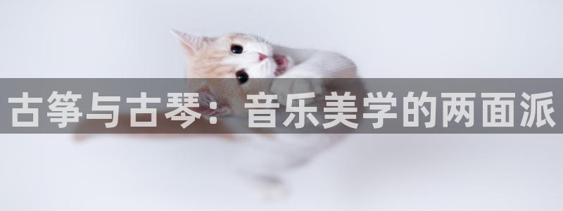 k8凯发官方找就送38