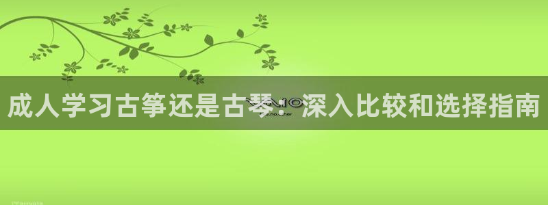 凯发网址多少:成人学习古筝还是古琴:深入比较和选择指南