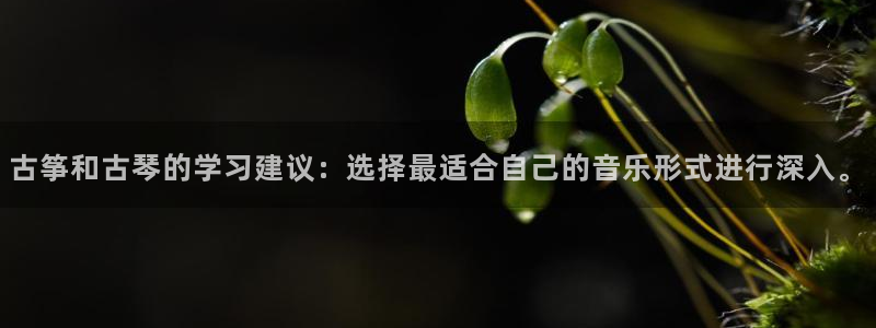 凯发k8娱乐倒闭了吗