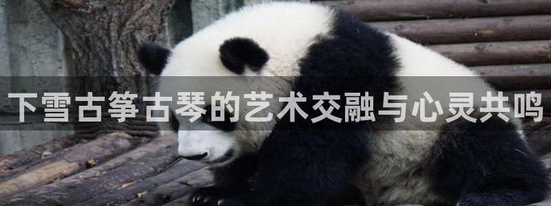 凯发k8国际app：下雪古筝古琴的艺术交融与心灵共鸣