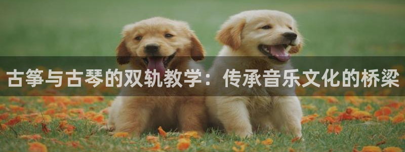 凯发k8娱乐官网地址app下载 | 首页