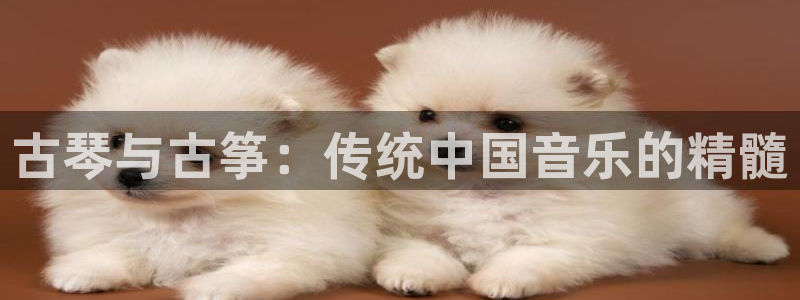 凯发k8娱乐欢迎您