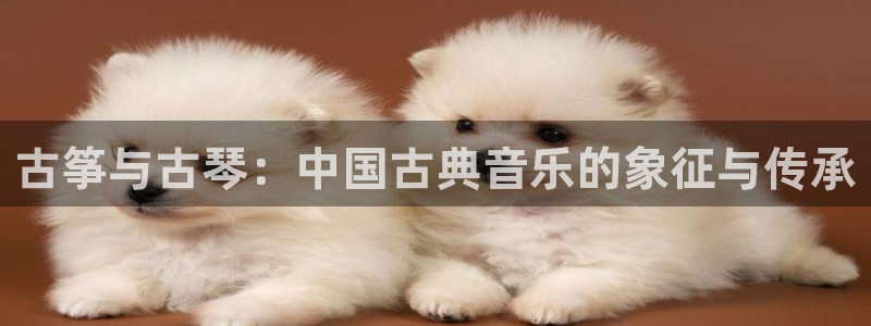 凯发娱乐k8国际