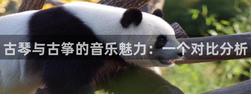 k8凯发是做什么的